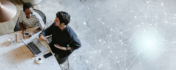 What is Web Development?